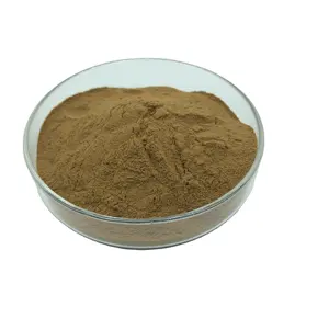 100% Pure Reishi Mushroom Extract Powder 10:1 Ganoderma Lucidum Extract Lucid Ganoderma Plant Extract