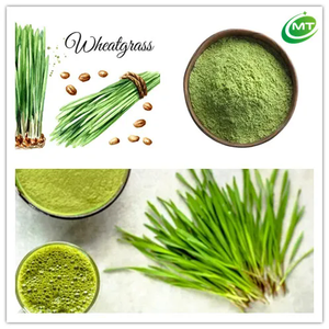 Rifornimento della fabbrica estratto di erba di grano in polvere Triticum Aestivum verde erba di grano in polvere per bevande alimenti per la salute - Product Image 1