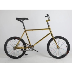 Gran oferta, horquilla delantera <span class=keywords><strong>de</strong></span> <span class=keywords><strong>bicicleta</strong></span> <span class=keywords><strong>de</strong></span> <span class=keywords><strong>20</strong></span> pulgadas, <span class=keywords><strong>bicicleta</strong></span> <span class=keywords><strong>de</strong></span> carretera/neumático pequeño, <span class=keywords><strong>bicicleta</strong></span> para adultos <span class=keywords><strong>de</strong></span> <span class=keywords><strong>20</strong></span> pulgadas - Product Image 5