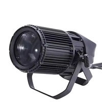 Produk baru keren hangat putih 250w Led Zoom Cob Par cahaya untuk Dj pesta disko Bar