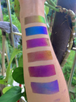 2022 nouvelle palette de fards à paupières Pastel Duochrome Pigments multichromes Singe magnétique 100 couleurs lâche Duochrome