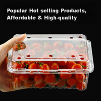 Emballage en blister écologique en PET, contenants alimentaires en plastique transparent à clapet pour les bleuets, les cerises, les fraises, les bonbons, les sushis, les pizzas