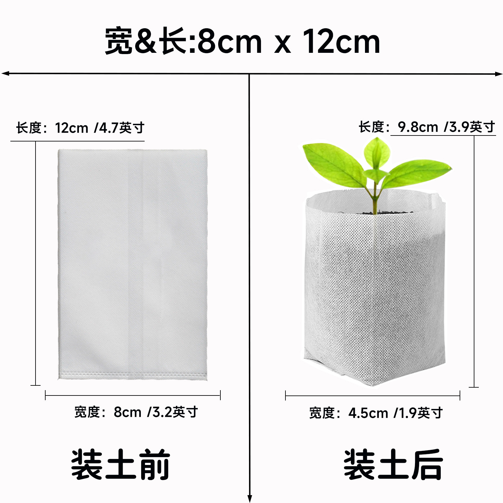 Blanc - 8 cm * 12 cm