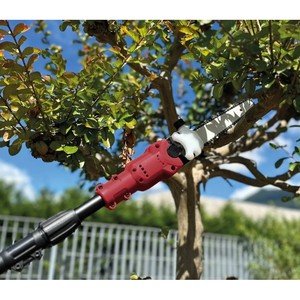 Tronçonneuse avec perche télescopique, article PE04AT - Product Image 2