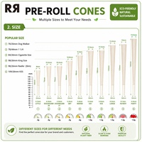 Boîte d'emballage en papier pour cônes pré-roulés avec logo personnalisé, papier non blanchi 13GSM, cônes en papier en forme de cône pour fumer avec embouts et tubes