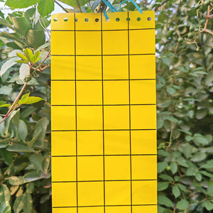 10 - Product Image 2