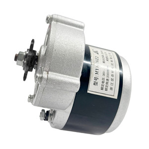 มอเตอร์ไฟฟ้ากระแสตรงแบบแปรงถ่าน 250W 24V 36V สำหรับจักรยานไฟฟ้า / รถสามล้อไฟฟ้า มอเตอร์สกู๊ตเตอร์ไฟฟ้า พร้อมขายึดและสกรู รุ่น <span class=keywords><strong>MY1016Z2</strong></span> - Product Image 5