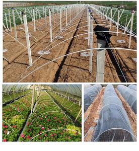 Tuyaux d'arche de serre en fibre de verre haute résistance résistants aux UV, système de support pour plantes agricoles, découpe personnalisable - Product Image 4