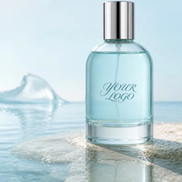 Flacon de parfum en verre à épaule ronde avec logo personnalisé, bouchon en métal argenté, 100 ml, parfum personnalisé, OEM ODM, vente en gros, unisexe