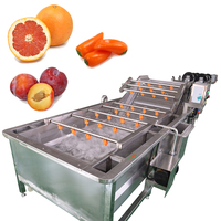 Root Groente Surf Luchtbel Wasproductielijn Fruit Plakjes Gesneden Fruit Wortelgroenten Wassen Reinigingsapparatuur