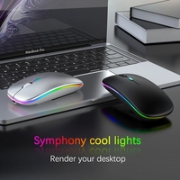 Souris sans fil 2 en 1 avec adaptateur Type-C vers USB Rechargeable par USB avec souris de jeu Bt pour ordinateur portable/PC/Windows/Pad