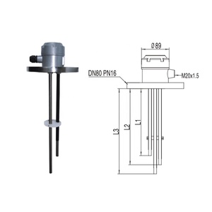 Sonda de Nivel de Agua con Rosca Estándar, Electrodo 304, Interruptor de Nivel, Instrumento de Medición de Nivel de Alta Eficiencia - Product Image 3