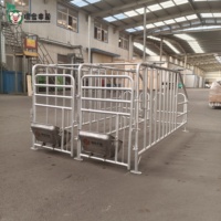 Enclos de gestation pour truies, fabricant direct, boxes de gestation pour porcs en acier galvanisé, équipement d'élevage porcin, vente en gros