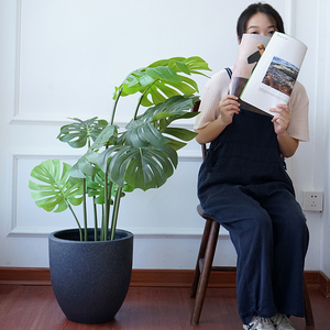 Vaso per Bonsai Grande <span class=keywords><strong>in</strong></span> Fibra di Vetro e <span class=keywords><strong>Cemento</strong></span> con Design Moderno e Foro di Drenaggio per Decorazione - Product Image 4