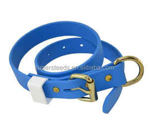 Neu All Seasons Designer Hunde halsband Benutzer definierte mehrfarbige langlebige wasserdichte Gummi Gurtband PVC Tiere Halsband mit Hardware Schnalle - Product Image 2