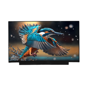 INNOLUX N173HCE-E3B Pantalla LCD IPS FHD de 17,3 pulgadas, 1920 × 1080, 500 nits, WLED eDP, Panel de pantalla para portátil de gran tamaño - Product Image 1