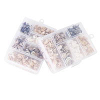 Environ 100 pièces/boîte coquillages de plage en coquille de conque naturelle mélangée pour la décoration de la maison bricolage