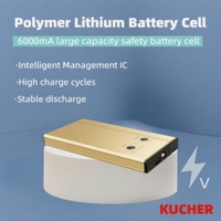 Démarreur de moto et voiture multifonctionnel 12V Golden LED 6000mAh 22.2Wh 300A, compact, portable, avec fonction de chargeur et booster de batterie