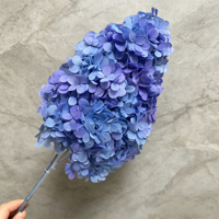 Bunga Hias Warna Gradasi Indah, Hydrangea Kayu Antik Asli yang Diawetkan untuk Dekorasi Meja yang Elegan