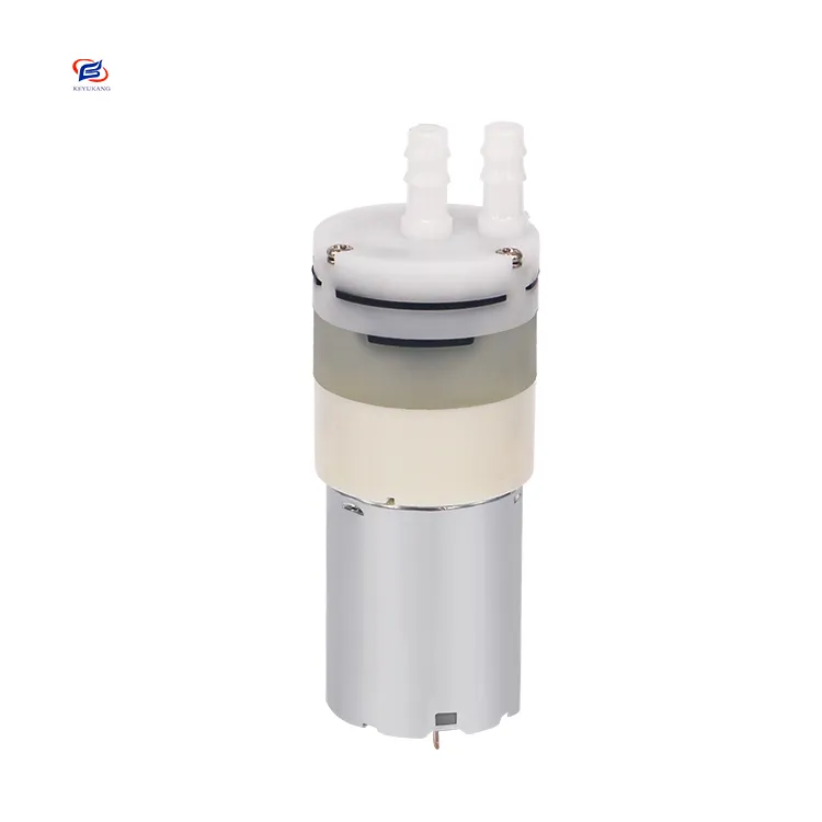 High quality Portable Electric Liquid Mini Water Pump 3v 6v 12v 24v Water Dispenser Pump