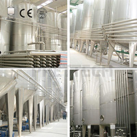 Équipement de production de jus de fruits et de vin sanitaire, réservoir en acier inoxydable SS304, capacité personnalisable (3000L/5000L), longue durée de vie