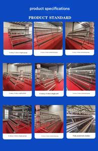 Offre Spéciale : Cage à Poulets Galvanisée à 3/4 Niveaux, Poulailler Commercial Automatique Multifonctionnel pour Élevage de Poulets - Product Image 4
