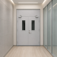 Porte en acier métallique moderne sur mesure, résistante au feu, certifiée SGS, pour hôpitaux et écoles