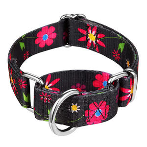 Collar ajustable de entrenamiento para perros, correa de metal con hebilla personalizada a granel - Product Image 1