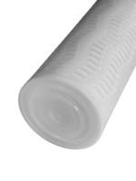 Cartouche filtrante plissée en PP à haut débit DM pour réservoir sous pression |   Bande plate à extrémités fermées, longueur 20-60 pouces, 0,1-100 m |   Prétraitement RO stérile
