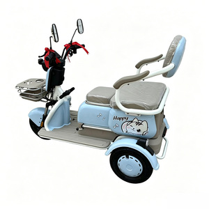 Tricycle électrique 48V 800W 20AH à plateau ouvert <span class=keywords><strong>pour</strong></span> adultes, personnes âgées et handicapées – Vélo à trois roues sans obstacle <span class=keywords><strong>pour</strong></span> adultes - Product Image 1
