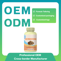 OEM Berberine HCl 98% Haute Concentration 500mg Capsules Antioxydants Naturels pour le Soutien du Métabolisme du Glucose