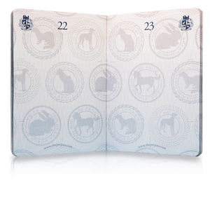 Hoja de identificación de mascotas con registro de salud y vacunación de perros y gatos, organizador de información de mascotas, pasaporte imprimible para mascotas - Product Image 3