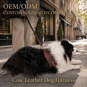 Harnais pour <span class=keywords><strong>chien</strong></span> en cuir véritable rétractable, nouvelle conception, épaissi, anti-traction, avec laisse pour grands chiens, pour la promenade et l'entraînement - Product Image 1