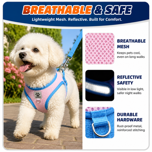 Collier <span class=keywords><strong>LED</strong></span> rechargeable pour chien, laisse lumineuse USB pour chiens de taille moyenne à grande, en nylon solide rembourré, <span class=keywords><strong>ruban</strong></span> pour animaux de compagnie - Product Image 5