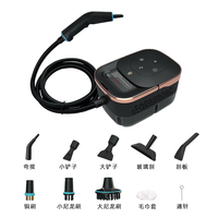 Nettoyeur de tapis à vapeur haute température haute pression pour usage domestique, extérieur et hôtelier, générateur de vapeur