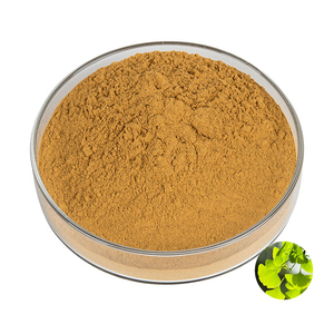 Nhà máy trực tiếp bán buôn 100% nước hòa tan <span class=keywords><strong>Ginkgo</strong></span> <span class=keywords><strong>Biloba</strong></span> lá chiết xuất bột 24% flavonoid 6% <span class=keywords><strong>ginkgolide</strong></span> cấp thực phẩm số lượng lớn giá - Product Image 1