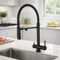 Robinet de cuisine noir mat extractible avec filtration d'eau, tête de pulvérisation magnétique, corps en laiton massif