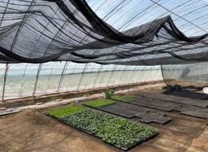 Encrypted and Thickened, <strong>Shade</strong> <strong>Net</strong>, High-temperature Resistant and Heat-insulating <strong>Net</strong>, Agricultural Greenhouse Sunshade <strong>Net</strong> - Product Image 3