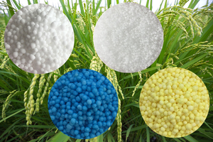 Fertilizzante <span class=keywords><strong>organico</strong></span> azoto ureum n46 % fertilizzante e NPKWholesale prezzo azoto <span class=keywords><strong>Urea</strong></span> fertilizzante <span class=keywords><strong>organico</strong></span> <span class=keywords><strong>Urea</strong></span> 46% Prilled Gran - Product Image 3