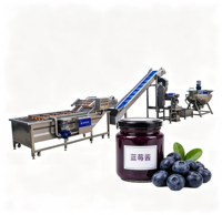 Complete set industriële jamverwerkingsmachine voor het produceren van bessenjam, inclusief kook-, meng- en vullijn, OEM-aanpassing mogelijk.