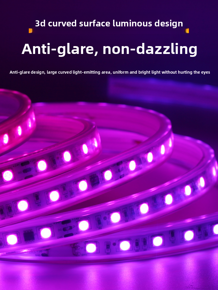 RGB 24V SMD 5050 LED Strip Light 110v 220v Waterproof Smart Controller Remote for Outdoor Christmas Lights Decoration