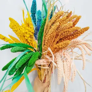 Gierst Spikes Natuurlijke Gedroogde Bloemen Accessoires Handgemaakte Bruiloft Decoraties Zachte Decoratie Diy Materialen