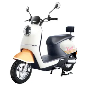 New Listing 800W 45km/h Electric Motorcycles Adult Electric Moped Scooter With Hydraulic Shock Absorber