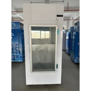 Congélateur d'entreposage de glace/conteneur réfrigéré de glace/bac de stockage de glace approuvé par ce