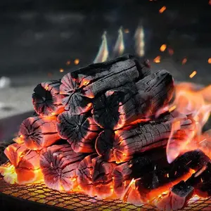 Horizontal Biochar Máquina De Fazer Carvão De Bambu Briquetes De Biomassa De Madeira Forno De Carbonização De Carvão De Ar