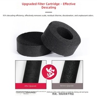Elemento Filtrante de Agua de Carbón Activado de Cáscara de Coco CTO de Alta Gama de 10 Pulgadas, Tipo Inserto, para Filtro de Agua Doméstico de Entrada con Eliminación de Cloro