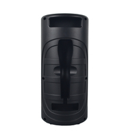 Altavoz LED inalámbrico para fiestas, dispositivo de Audio para Karaoke, con bocina grande, para exteriores