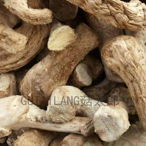 Khô <span class=keywords><strong>Shiitake</strong></span> gốc <span class=keywords><strong>Shiitake</strong></span> cuống nấm chân gốc nấm stipe chân <span class=keywords><strong>Shiitake</strong></span> nấm gốc - Product Image 3