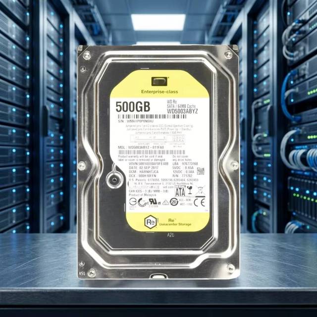 WD5003ABYZ 500GB SATA 6Gb/s 7200RPM 64MB Cache 3.5inch CMR Enterprise HDD Hard Disk Drive for Server RAID Storage
