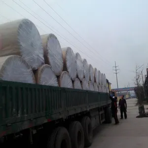 Offset Paper/woodfree Paper/printing Paper In Roll